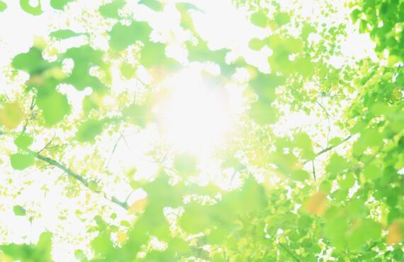 藤枝市を中心とした静岡県中部の不動産は武長にお任せを｜目的に合わせた対応でお手伝いします！